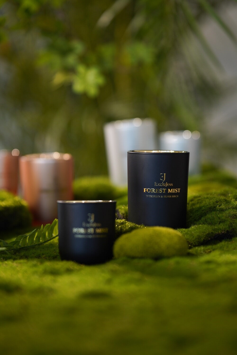 Gift set Forest Mist Everreen & Silver Birch Geurstokjes & Geurkaars