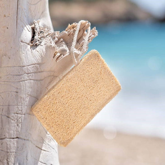 Natuurlijke en biologisch afbreekbare loofah spons